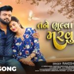 Tane Bhulva Mate Marvu Pade Lyrics - Rakesh Barot