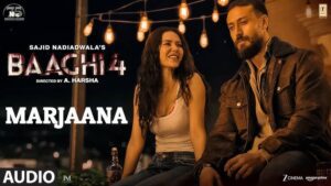 Marjaana Lyrics - B Praak, Siddhant Mishra