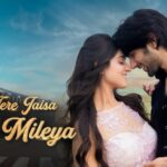 Naa Tere Jaisa Yaar Mileya Lyrics - Altamash Faridi, Shreya Jain