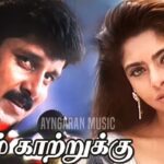 Veesum Kaatrukku Lyrics - P. Unnikrishnan, Harini