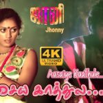 Aasaiya Kaathula Thoothu Vittu Lyrics - S. P. Sailaja (Sripathi Panditaradhyula Sailaja)