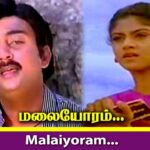 Malaiyoram Veesum Kaatru Lyrics - S. P. Balasubrahmanyam