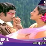 Thirutheril Lyrics - P. Susheela, S. P. Balasubrahmanyam