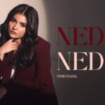 Nedhe Nedhe Lyrics - Noor Chahal