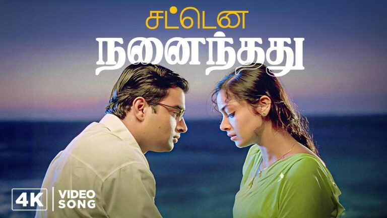 Sattena Nenaindhadhu Nenjam Lyrics - Minmini