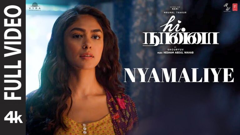 Nyamaliye Lyrics - Chinmayi Sripada, Anurag Kulkarni