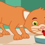 Ek Billi Hamari Lyrics