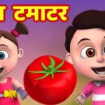 Laal Tamaatar Lyrics