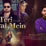 Teri Fitrat Mein