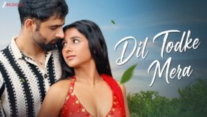 Dil Todke Mera