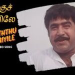 Maanooththu Manthaiyile Lyrics - S. P. Balasubrahmanyam, Sasirekha