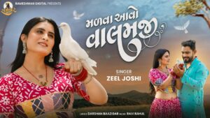 Malva Aavo Valamji Lyrics - Zeel Joshi
