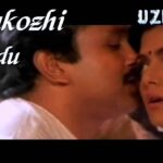 Raa Kozhi Rendum Lyrics - K. J. Yesudas (Kattassery Joseph Yesudas), Swarnalatha