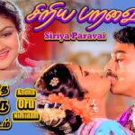 Siriya Paravai Lyrics - S. P. Balasubrahmanyam, S. Janaki (Sishta Sreeramamurthy Janaki)