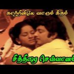 Chithirai Sevvanam Lyrics - P. Jayachandran