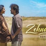 Zehnaseeb