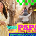 Papa Hero Tum Mere