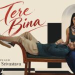 Tere Bina